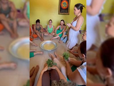Tratamento Natural para disfunções do Ciclo Menstrual